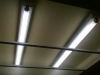 image1 (1)